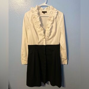 10 The Limited Long Sleeve Dress